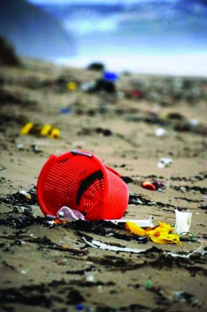 Monitoring beach litter in Denmark