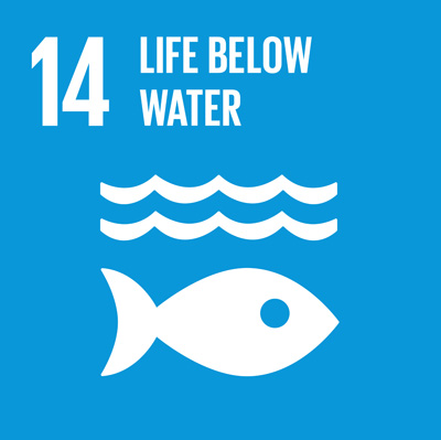 Life Below Water, Malmö and KIMO AGM 2017 – stepping stones towards SDG 14