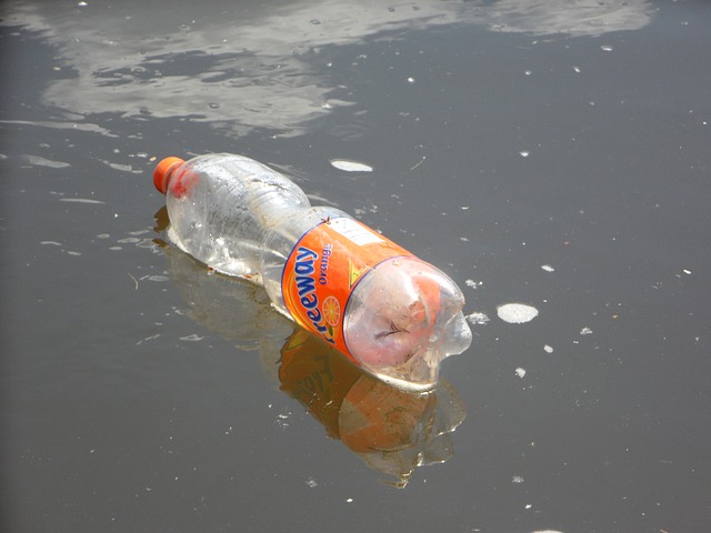 No Plastics to Sea!