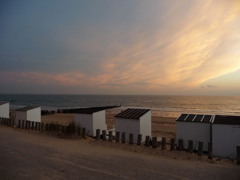 New report on Dutch Green Deals shows that marine litter is decreasing