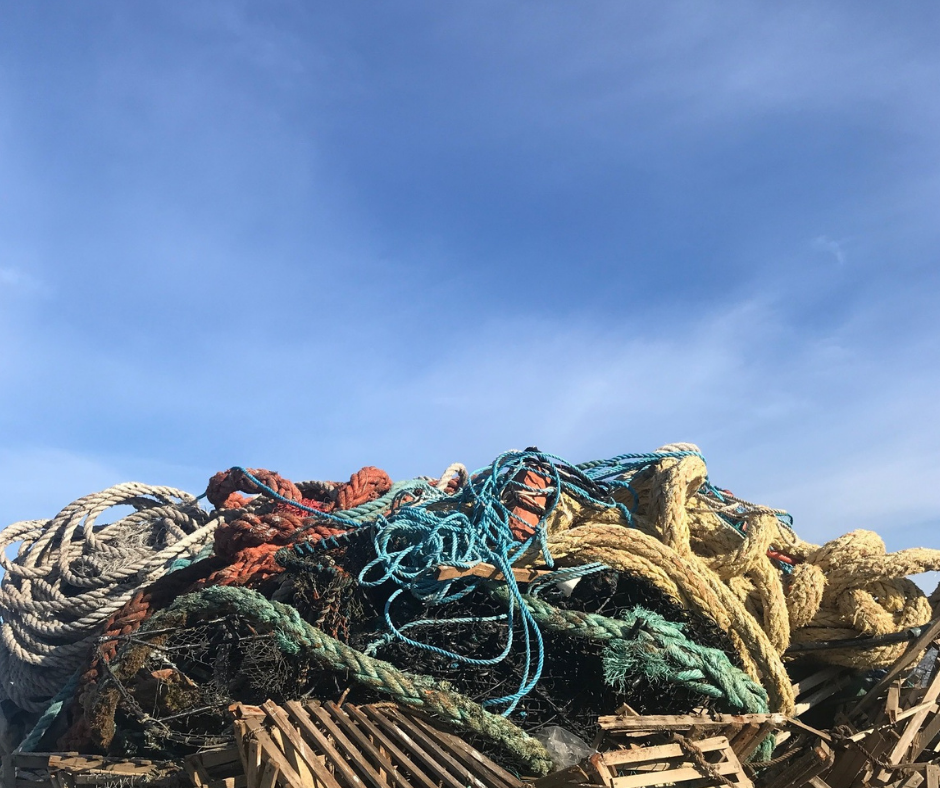 Swedish municipality recasting the net on marine waste