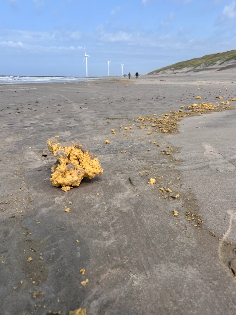 PRESS RELEASE: KIMO raises concern over new paraffin wax stranding incident on beaches in Denmark