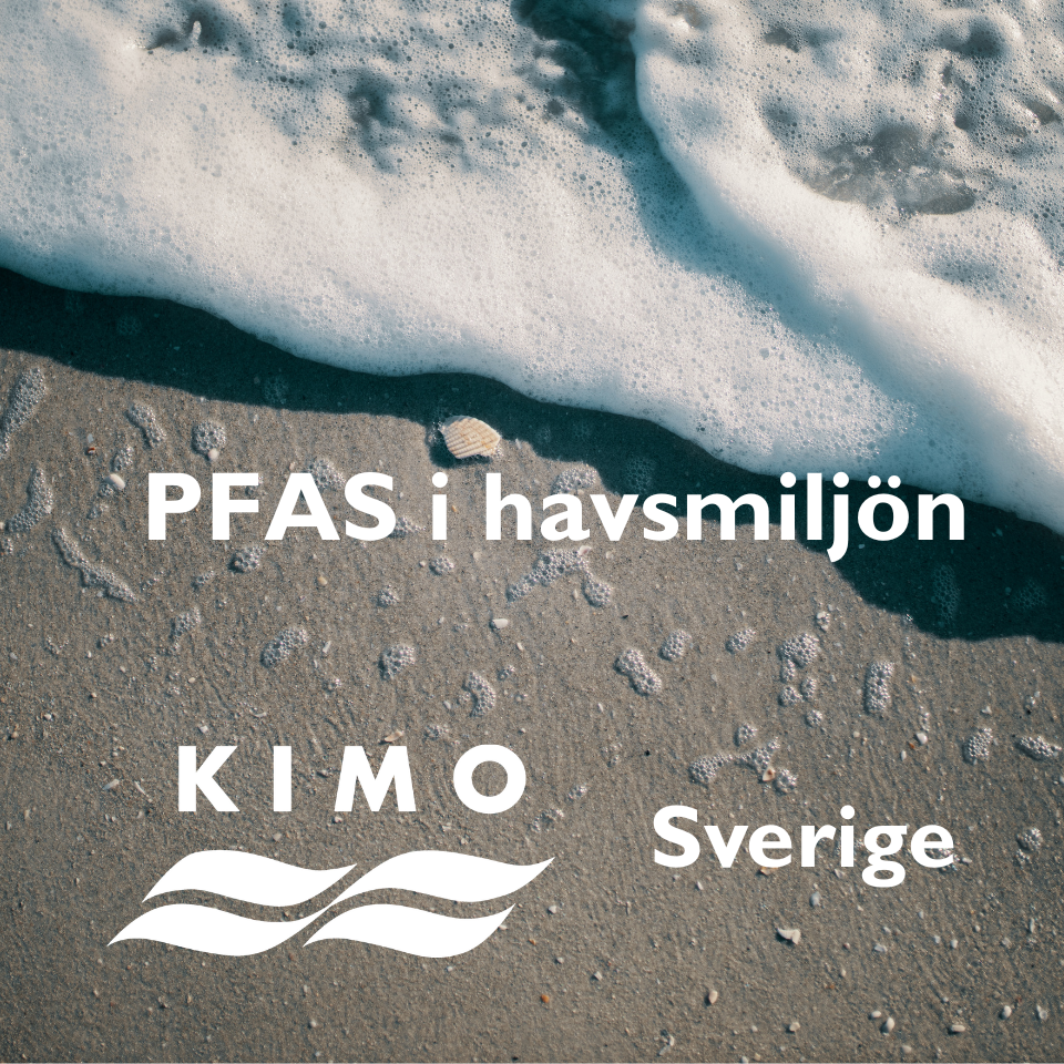 PFAS i havsmiljön – KIMO Sverige