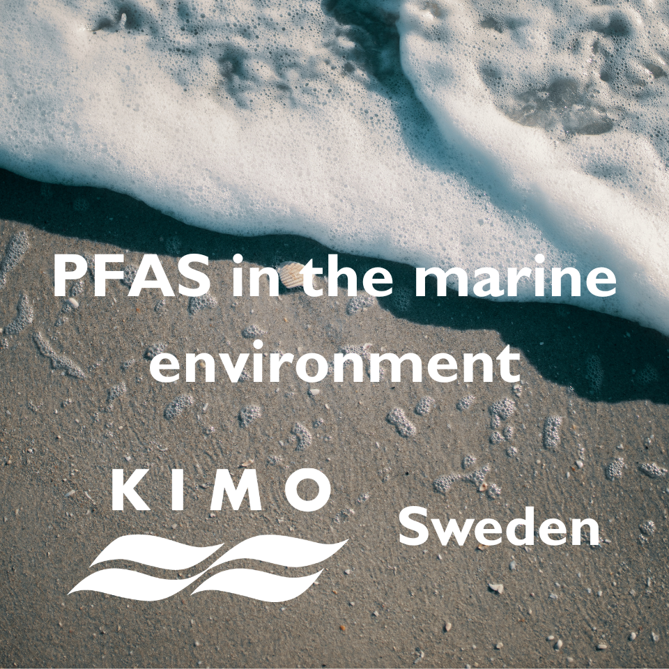 PFAS in the marine environment