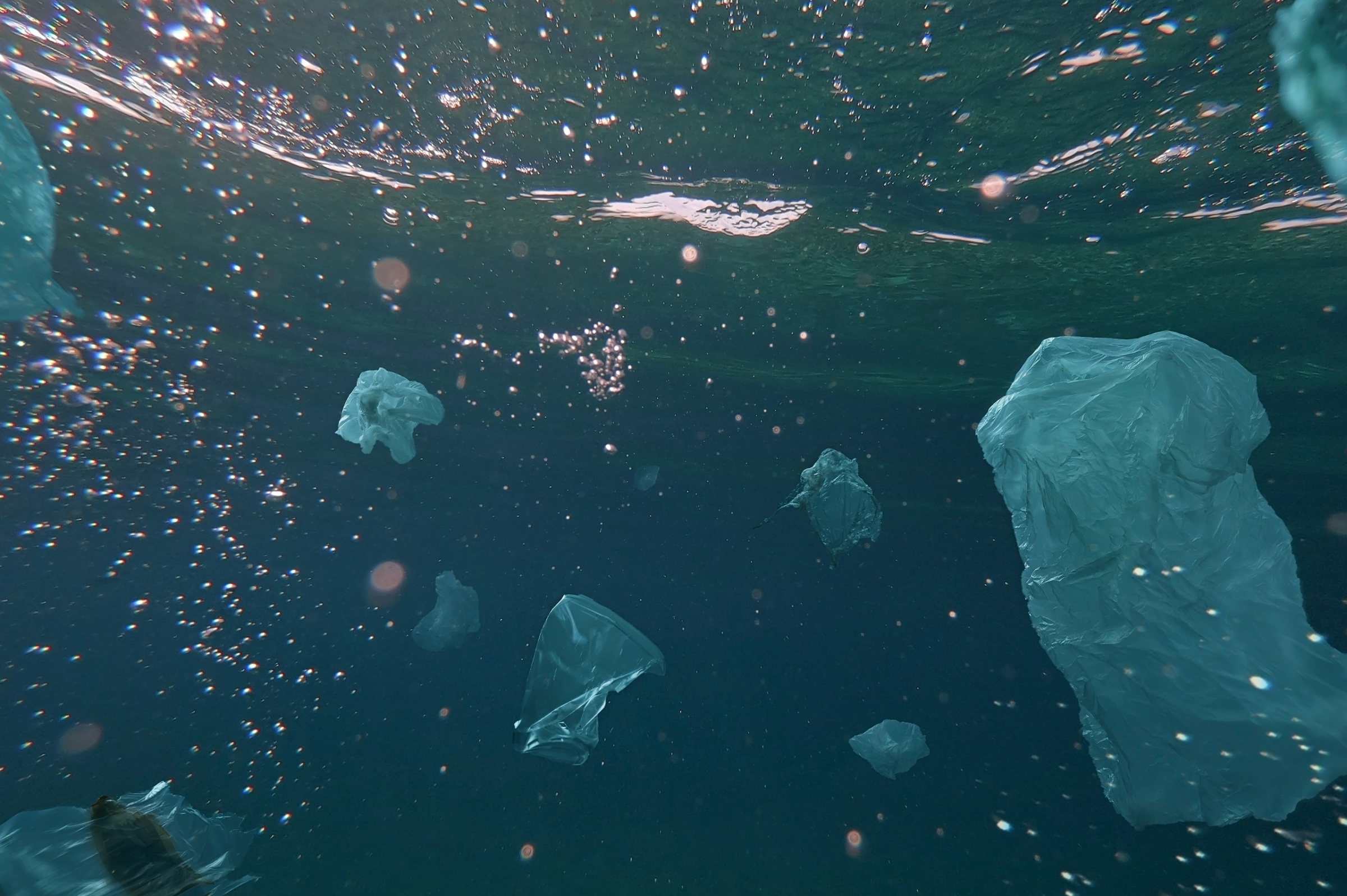Ocean Litter